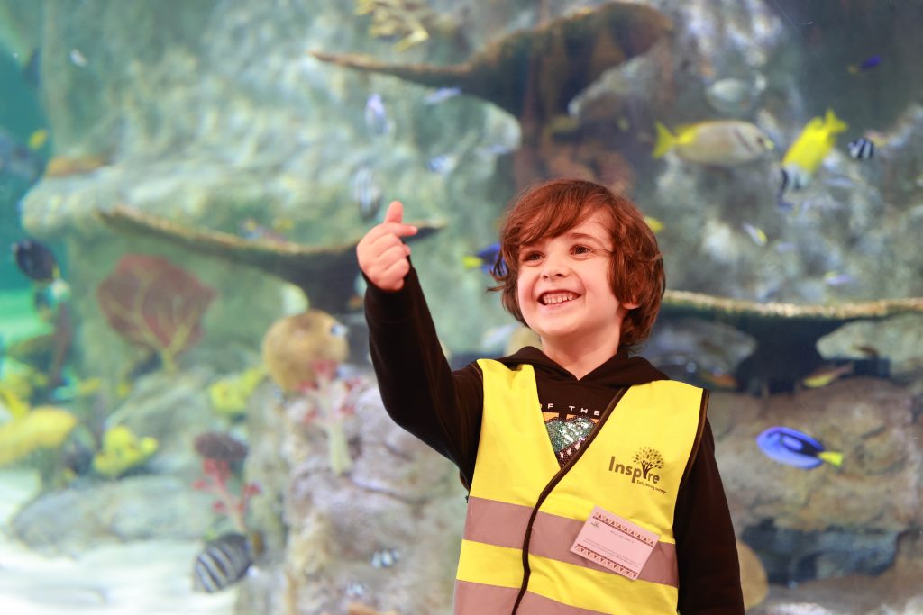 20230608 Sealife Excursion (4)