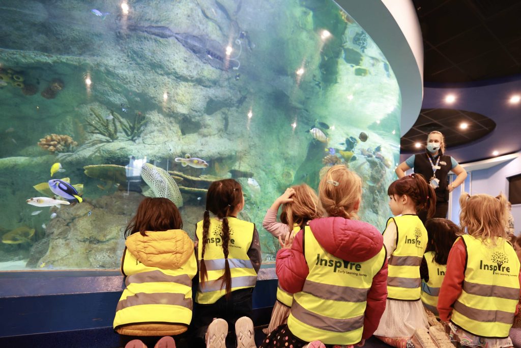 20230608 Sealife Excursion (5)