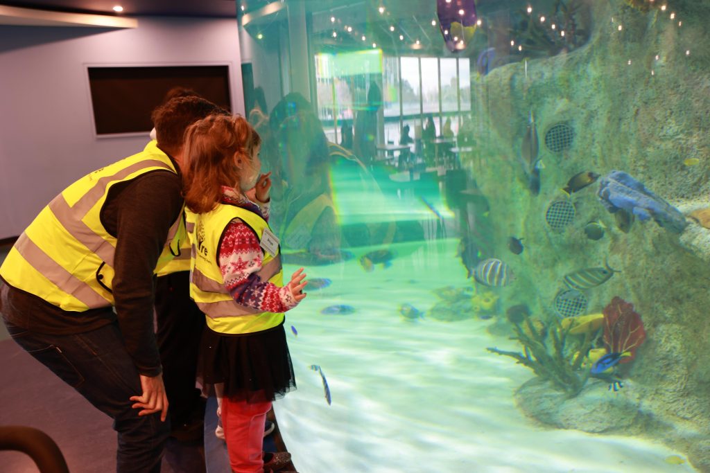 20230608 Sealife Excursion (6)